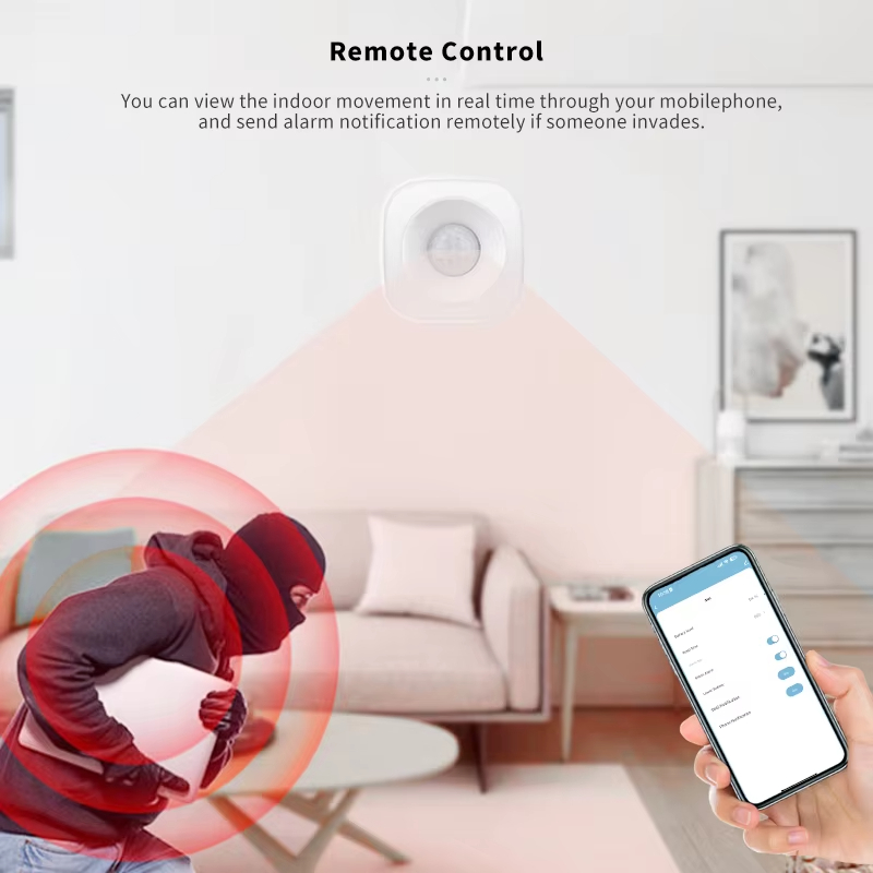 Tuya ZigBee/WiFi PIR Motion Se - Home Security Tools review and price